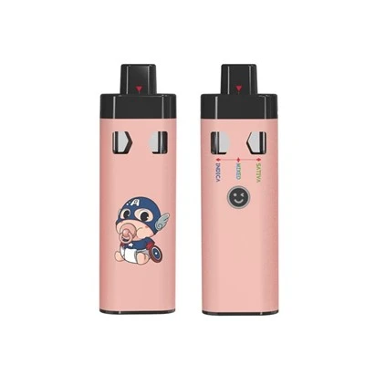 予熱機能 3 in 1 CBD Empty Vape